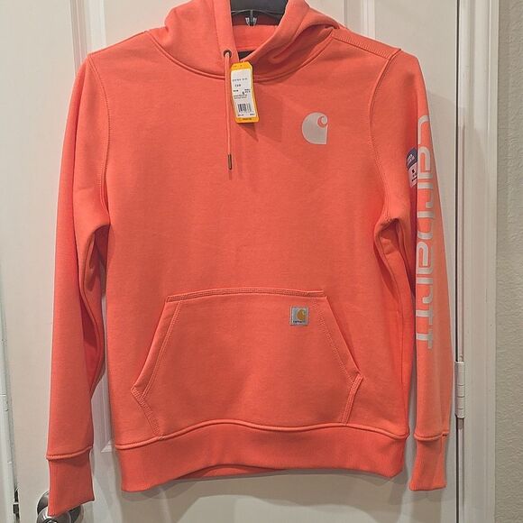 Carhartt Relaxed Fit Midweight Logo Sleeve Graphic Hoodie- Bittersweet - Picture 7 of 8